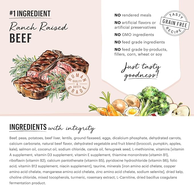 The Honest Kitchen Whole Food Clusters Small Breed Grain Free Beef Dry Dog Food, 4 lb Bag