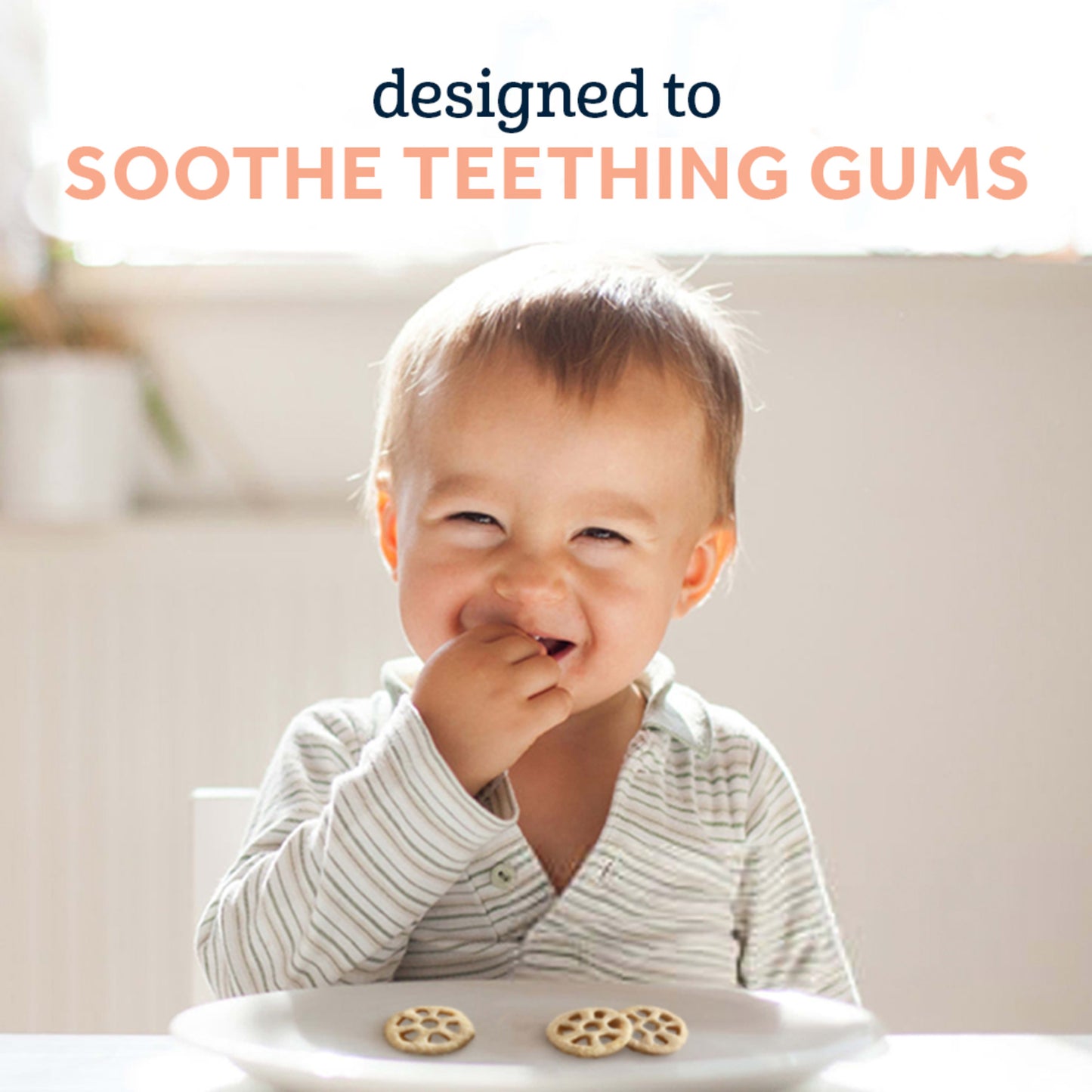 Gerber Gentle Teething Wafers, Variety Pack Baby Teethers, 72 Count Box