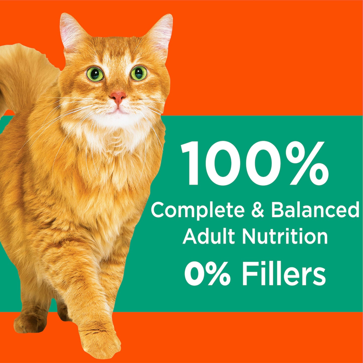 Iams Proactive Health Adult Hairball Care Dry Cat Food With Chicken And Salmon, 7 Lb. Bag
