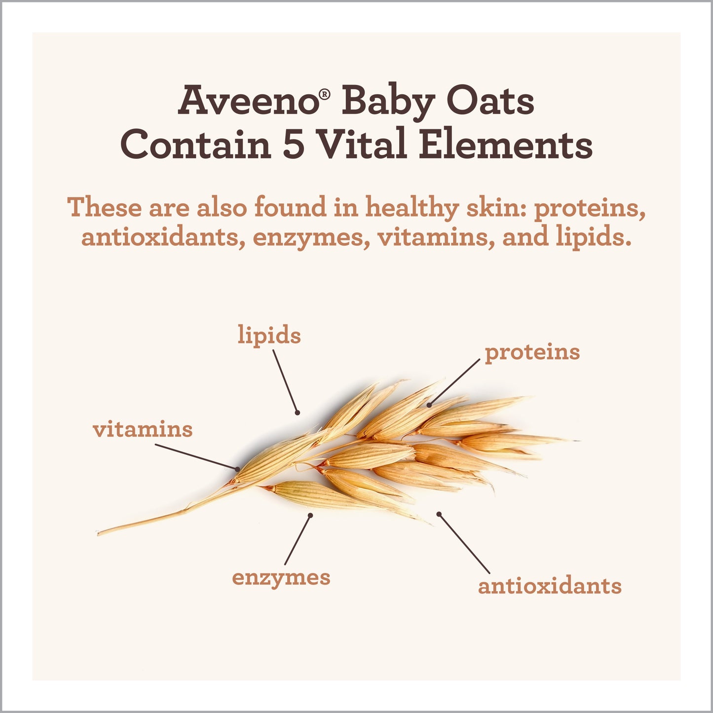 Aveeno Baby Daily Moisture Wash & Shampoo, Oat Extract, 33 fl. oz
