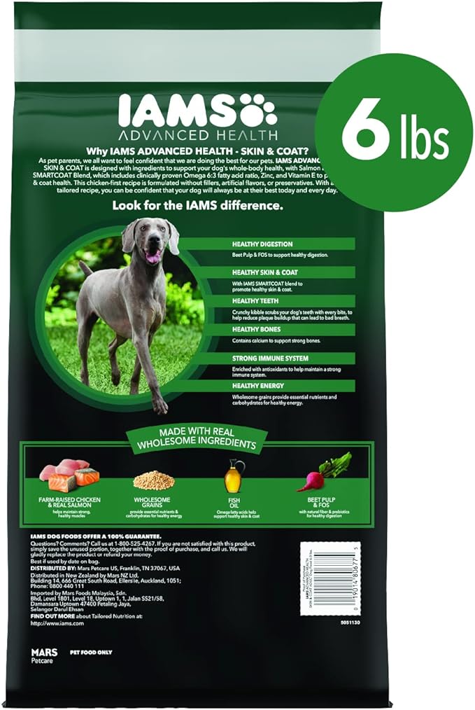 IAMS Advanced Health Skin & Coat Chicken and Salmon Recipe Adult Dry Dog Food, 6 lb. Bag, Brown, 6.00 Pound (Pack of 1)