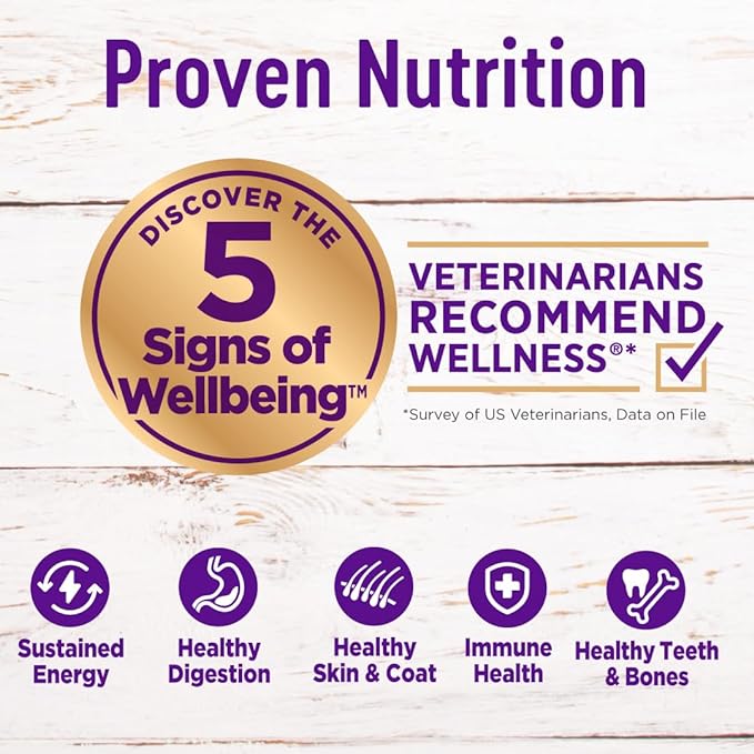 Wellness Natural Pet Food Complete Health Natural Dry Small Breed Healthy Weight Dog Food, Turkey & Rice,4 Pound (Pack of 1)