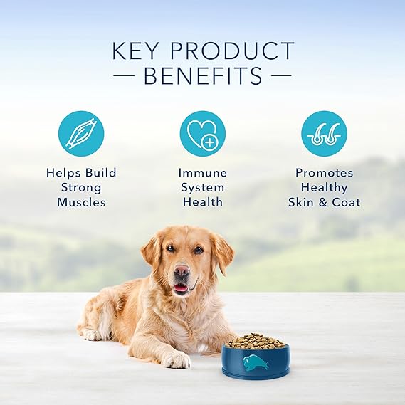 Blue Buffalo Life Protection Formula Natural Adult Dry Dog Food, Chicken and Brown Rice 30-lb