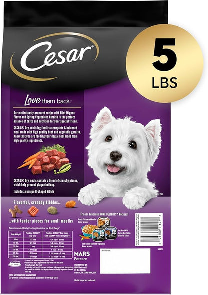 CESAR Adult Small Breed Dry Dog Food, Filet Mignon Flavor with Spring Vegetables Garnish, 5 lb. Bag