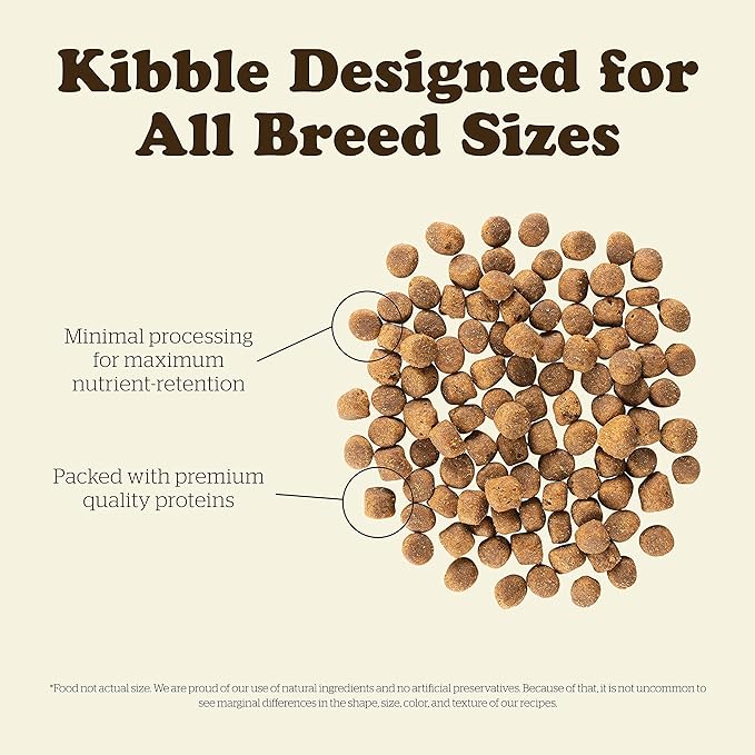 Now Fresh Grain Free Dog Food, 3.5 lb - Red Meat Dry Dog Food Recipe for Adult Dogs with Real Meat for Protein - for Small, Medium and Large Breeds