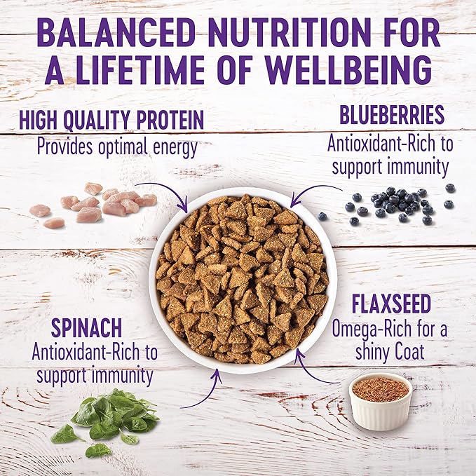 Wellness Natural Pet Food Complete Health Natural Dry Small Breed Healthy Weight Dog Food, Turkey & Rice,4 Pound (Pack of 1)