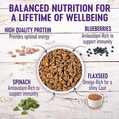 Wellness Natural Pet Food Complete Health Natural Dry Small Breed Healthy Weight Dog Food, Turkey & Rice,4 Pound (Pack of 1)