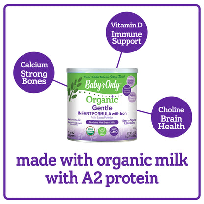 Baby's Only Organic - Infant Formula Organic 2 Supplement Iron - Case Of 6-21 Ounces