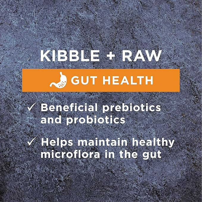 Instinct Raw Boost Gut Health Grain Free Recipe with Real Chicken Natural Dry Dog Food by Nature's Variety, 4 lb. Bag