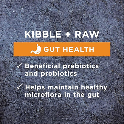 Instinct Raw Boost Gut Health Grain Free Recipe with Real Chicken Natural Dry Dog Food by Nature's Variety, 4 lb. Bag