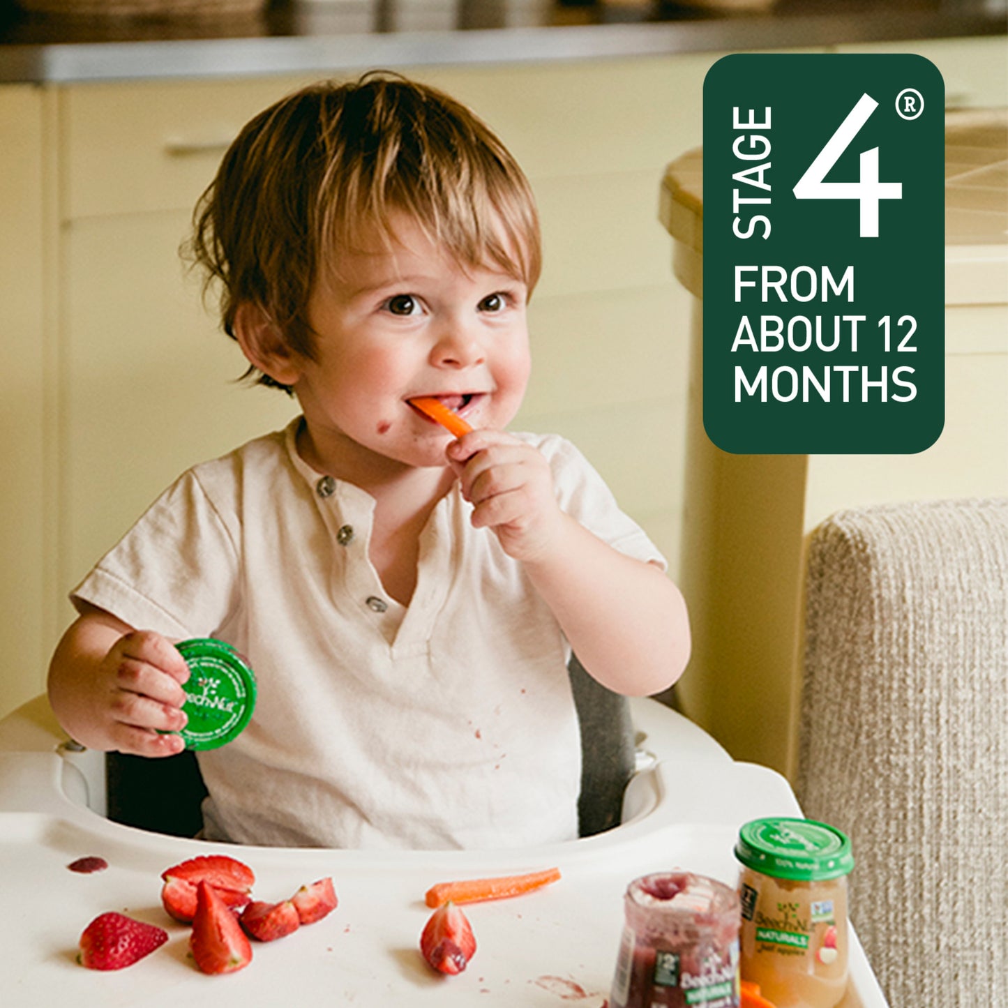 Beech-Nut Breakfast Stage 4 Toddler Food Variety Pack, 3.5 oz Pouch (9 Pack)