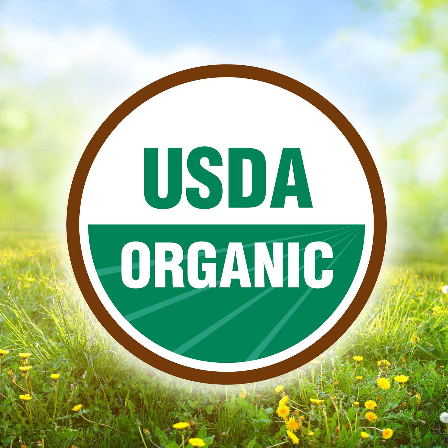 Baby's Only Organic - Infant Formula Organic 2 Supplement Iron - Case Of 6-21 Ounces