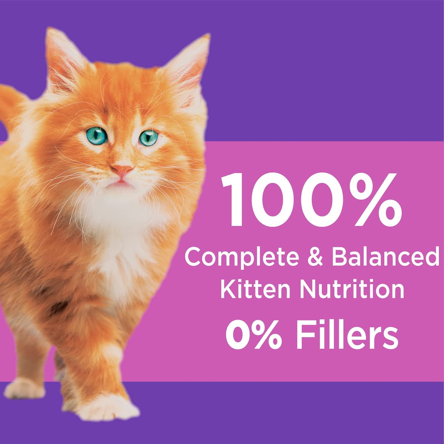 Iams Proactive Health Healthy Kitten Dry Cat Food With Chicken, 7 Lb. Bag